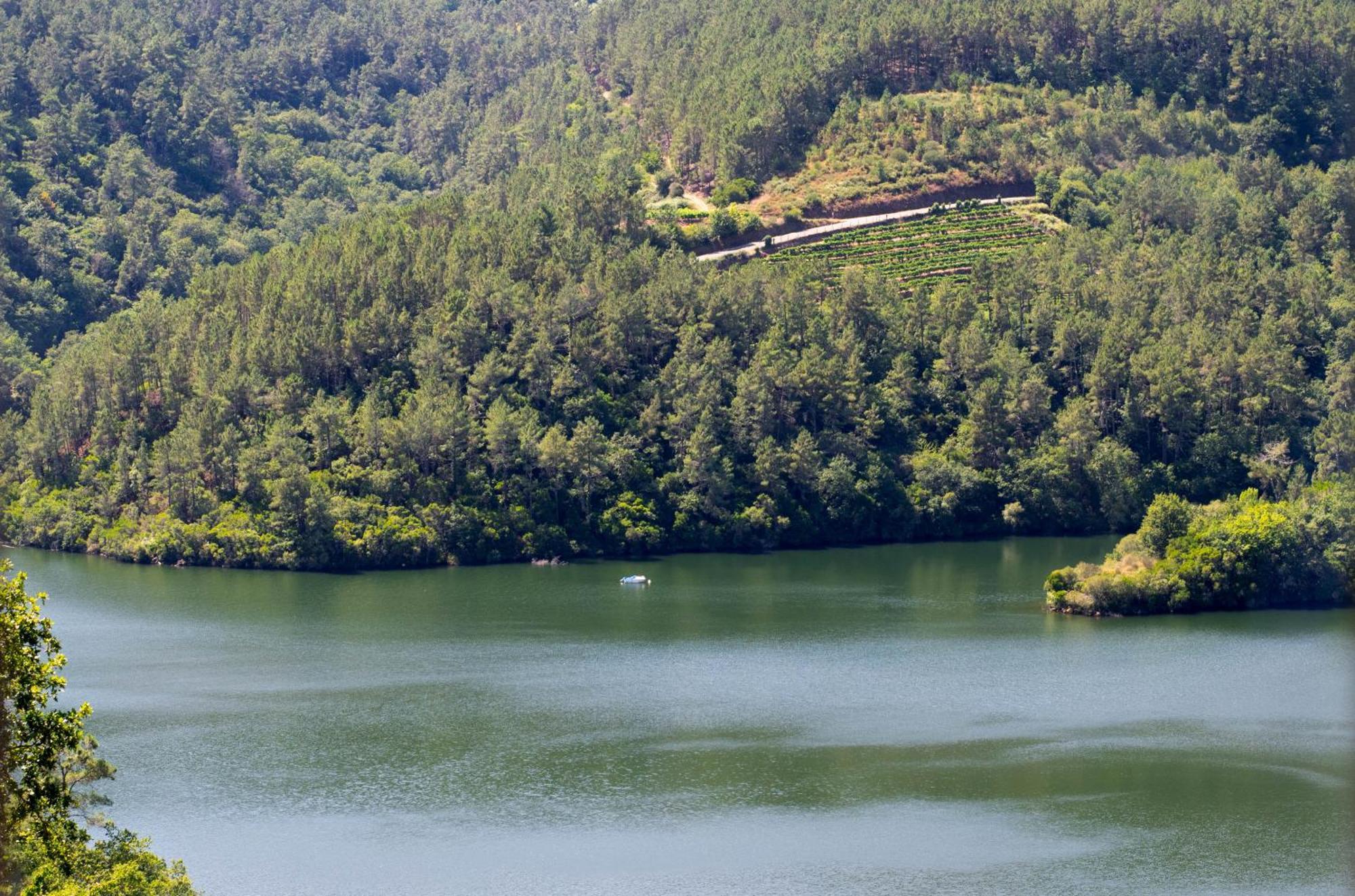 Ecolagar O Barqueiro Villa Pantón Kültér fotó