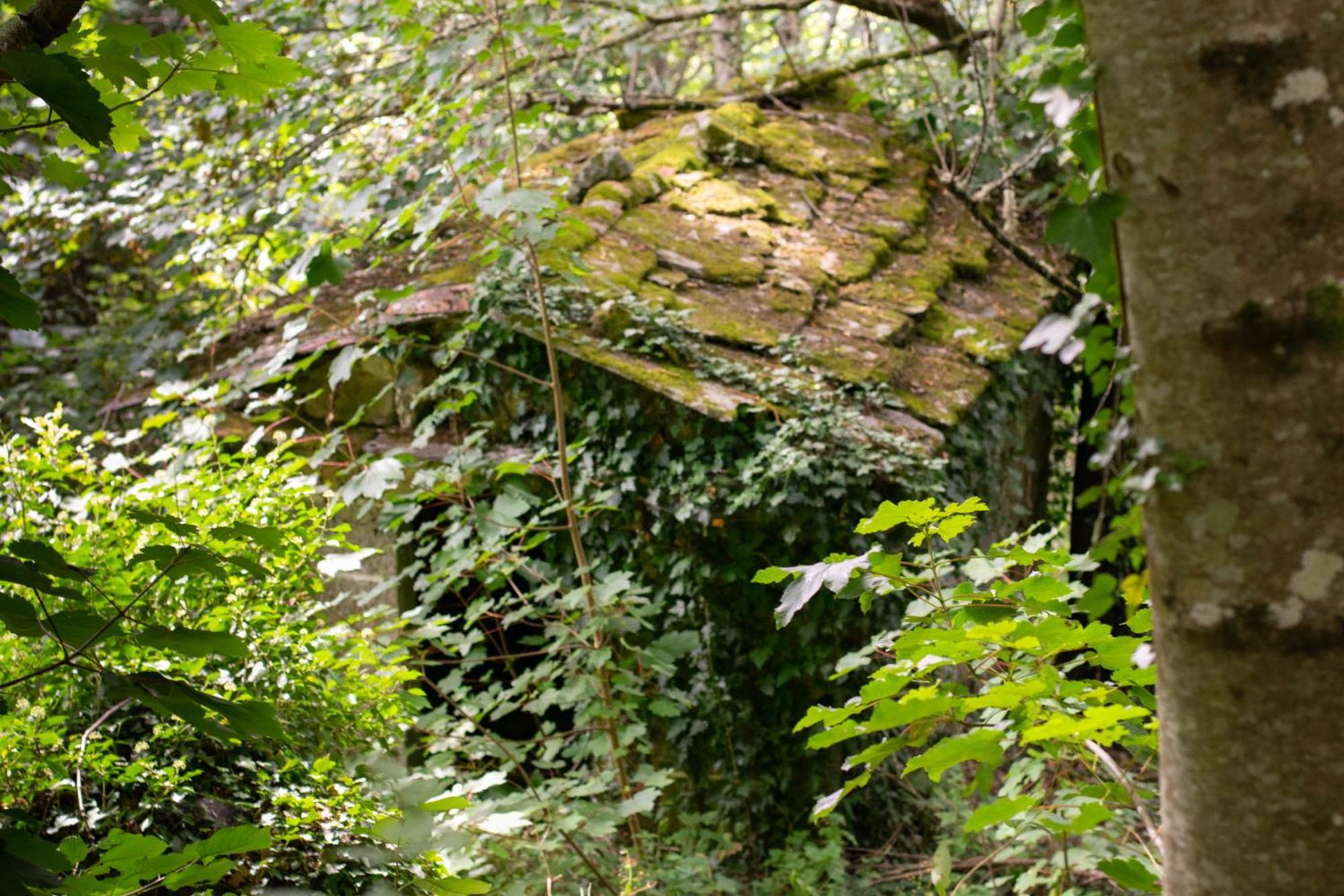 Ecolagar O Barqueiro Villa Pantón Kültér fotó